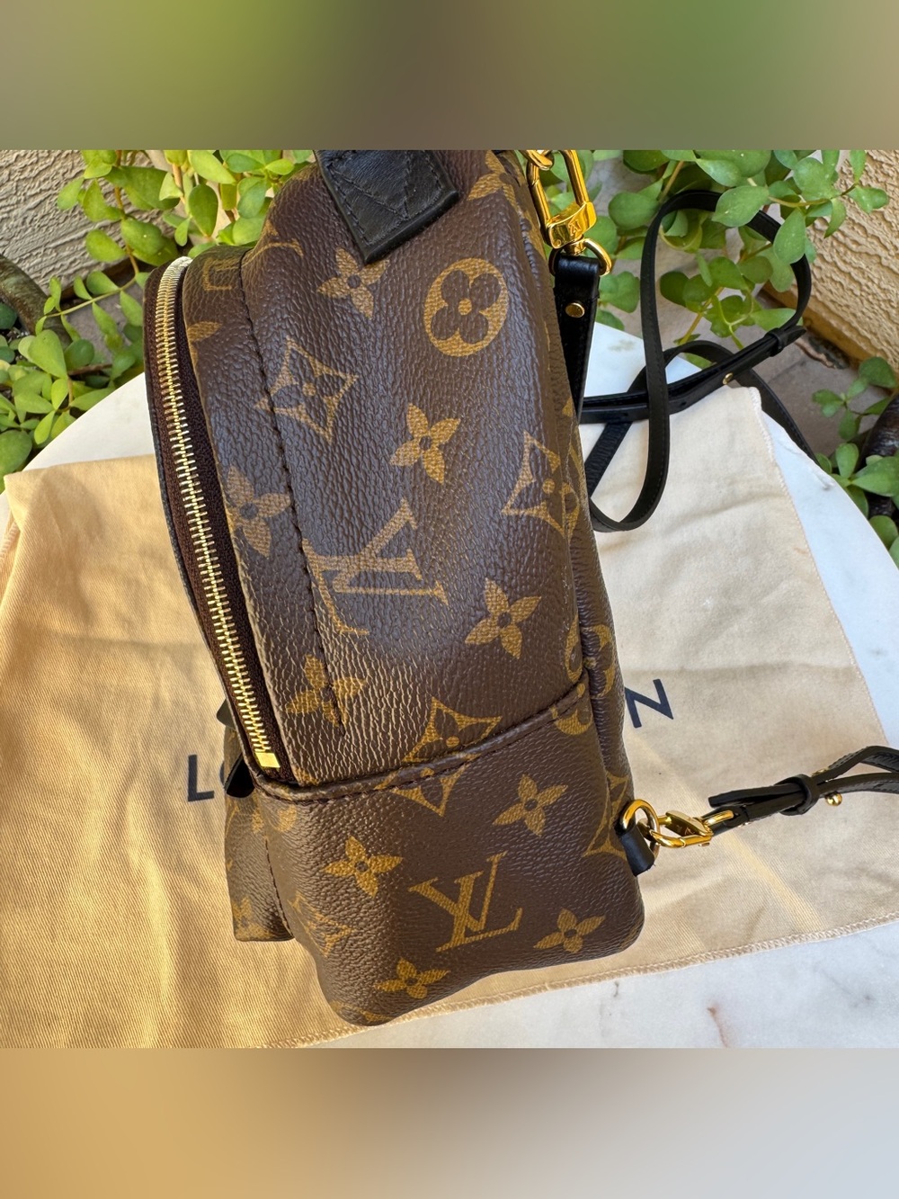 Louis Vuitton Monogram Mini Palm Springs Backpack - Picture 7 of 16